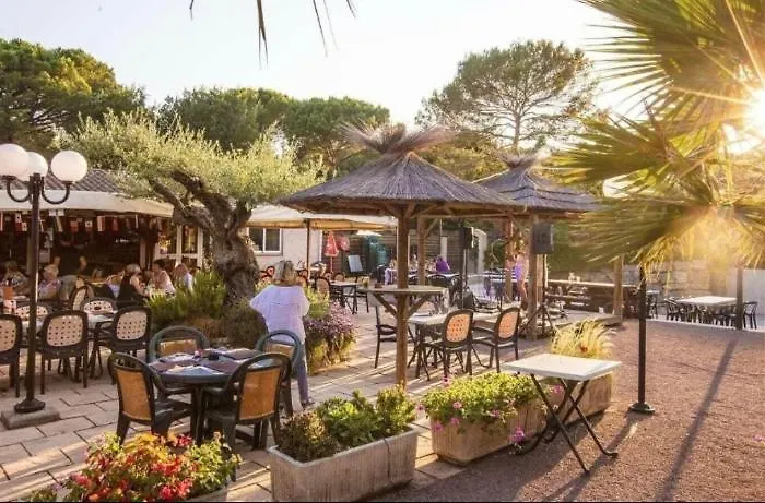 Coco 로크부른수르알젠스