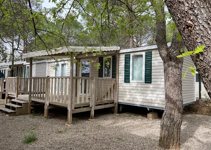 Coco 로크부른수르알젠스