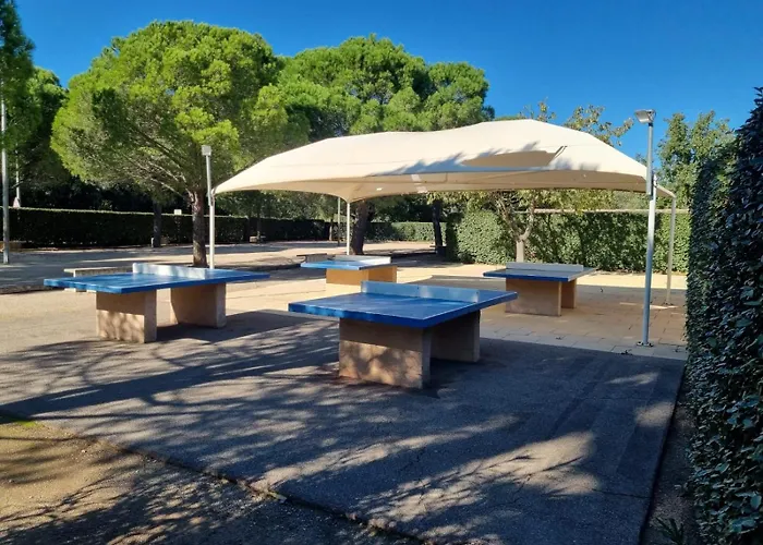 Coco 로크부른수르알젠스